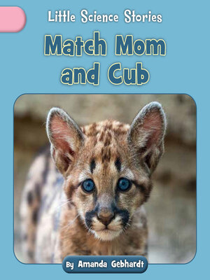 cover image of Match Mom and Cub